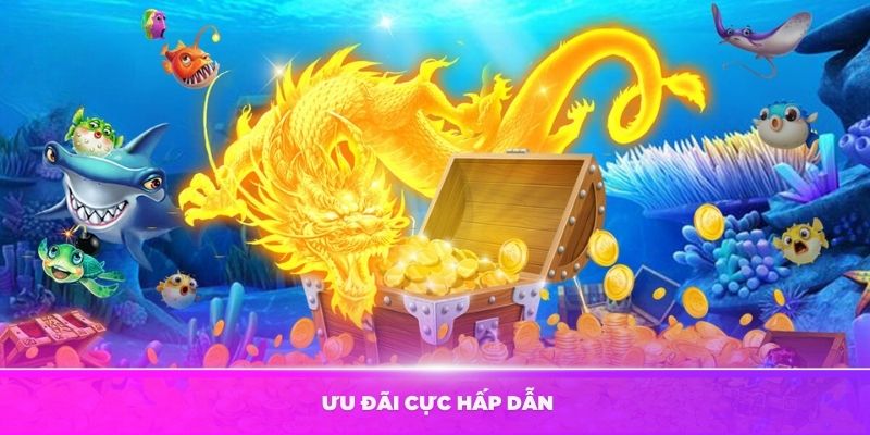 Có nhiều ưu đãi cực hấp dẫn cho thành viên mới tại nhà cái